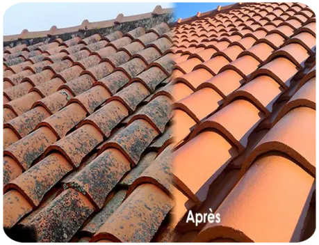 Nettoyage de toiture Barbezieux-Saint-Hilaire